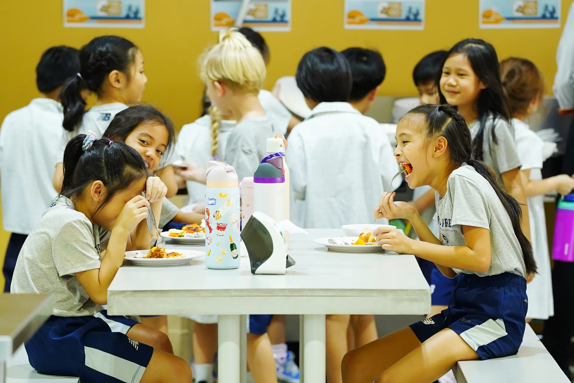 Food and Nutrition 4