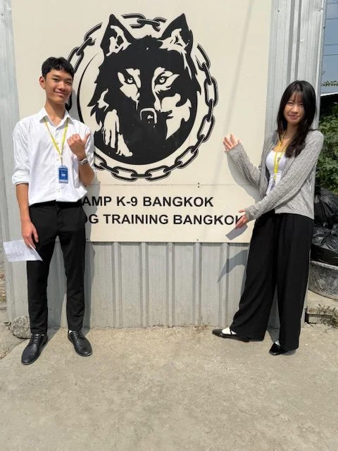 Year 12 BTEC IT: a morning at Camp K9 Dog Training Centre