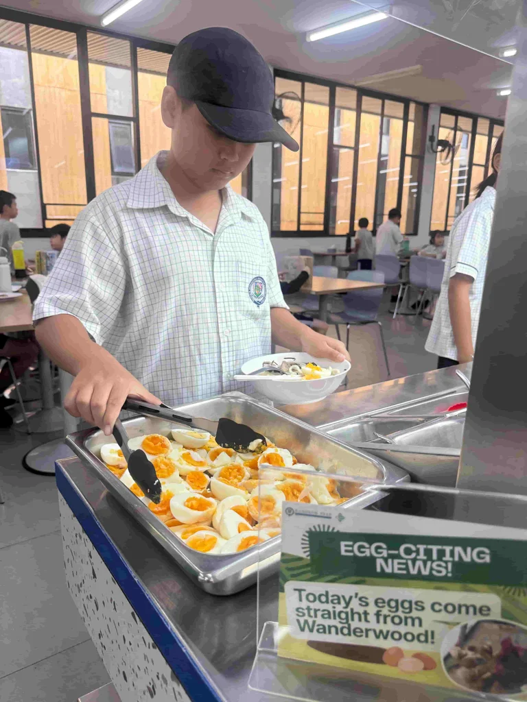 EGG-citing news for lunch!
